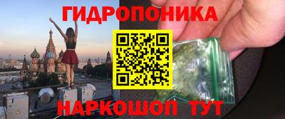 шишки Коммунар