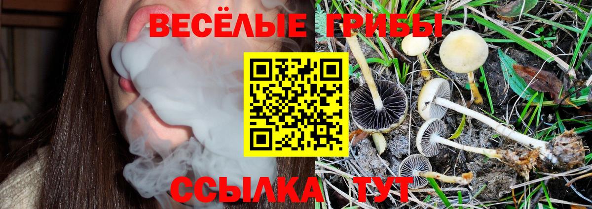 Псилоцибиновые грибы Cubensis  Вход с VPN  Гулькевичи 